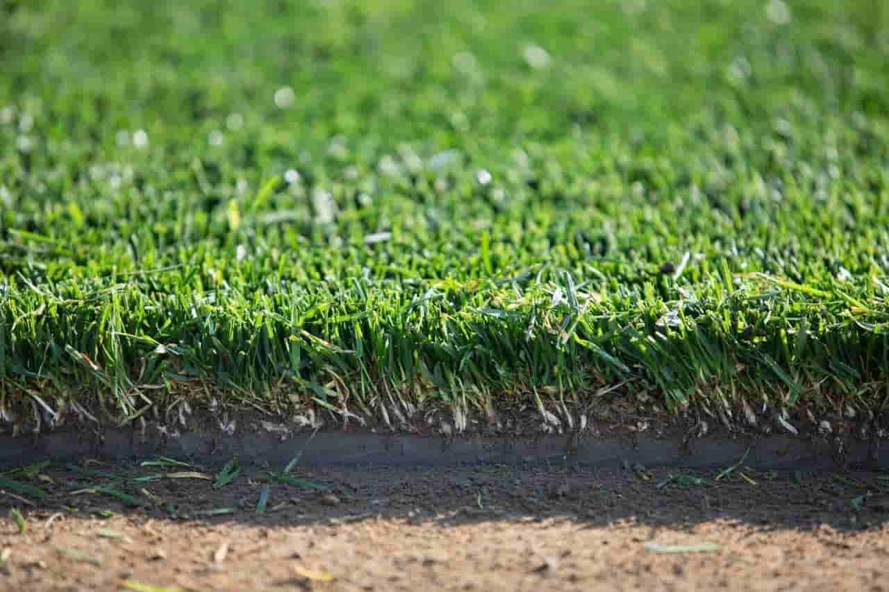 Srpanj - Nastavak košnje smanjenom jačinom