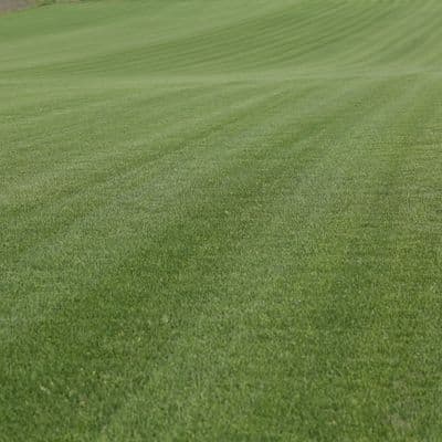 Kolovoz - Posljednja prihrana i uništavanje korova