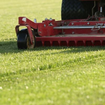 Listopad - Košnja do kraja mjeseca i prihrana