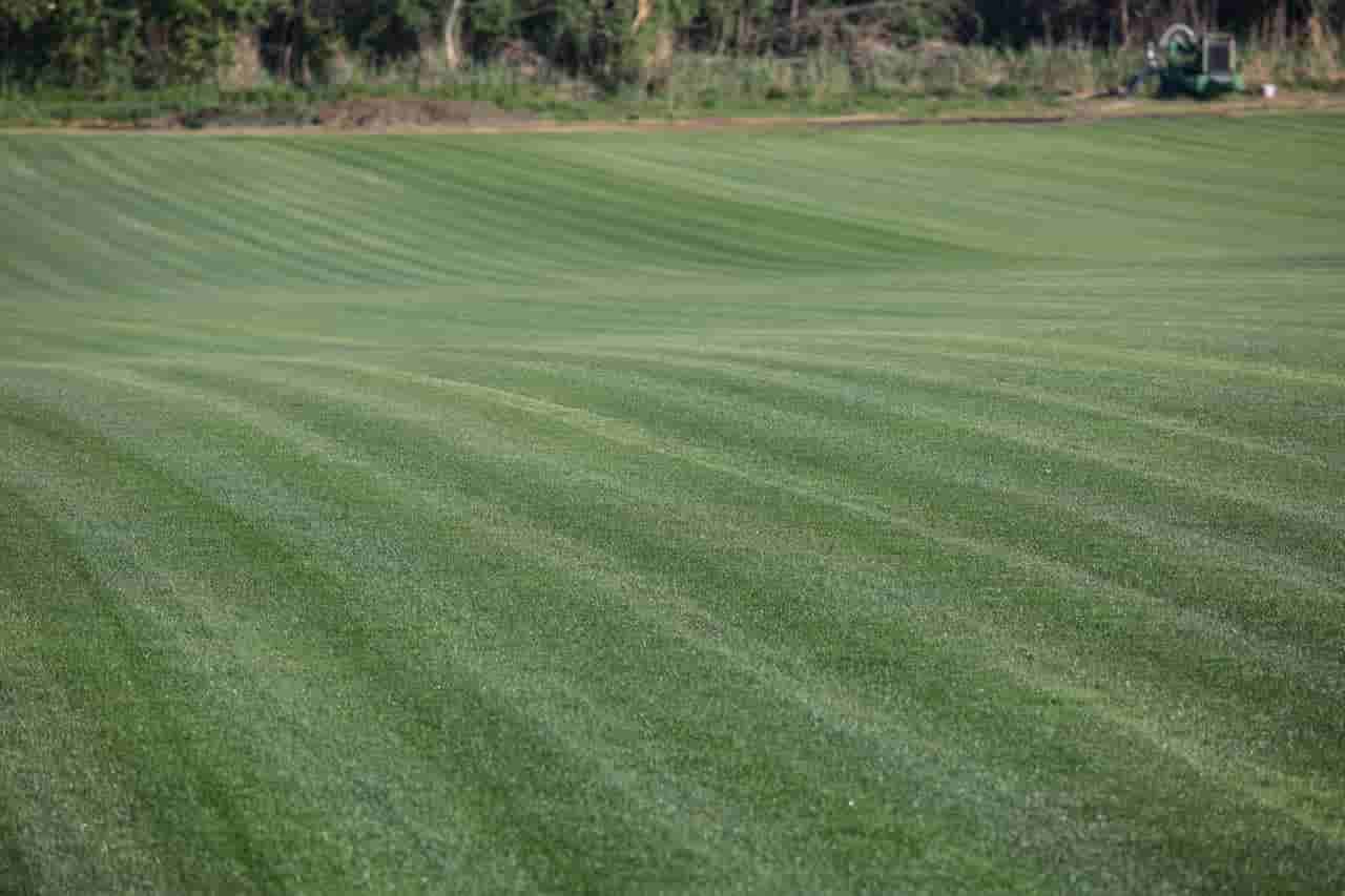 Ožujak - Savjeti za održavanje